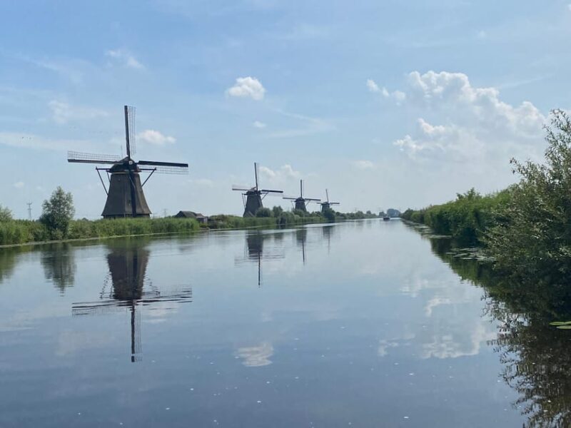 From Amsterdam: Kinderdijk, Delft & Mauritshuis Private Tour - Practical Tips for Travelers