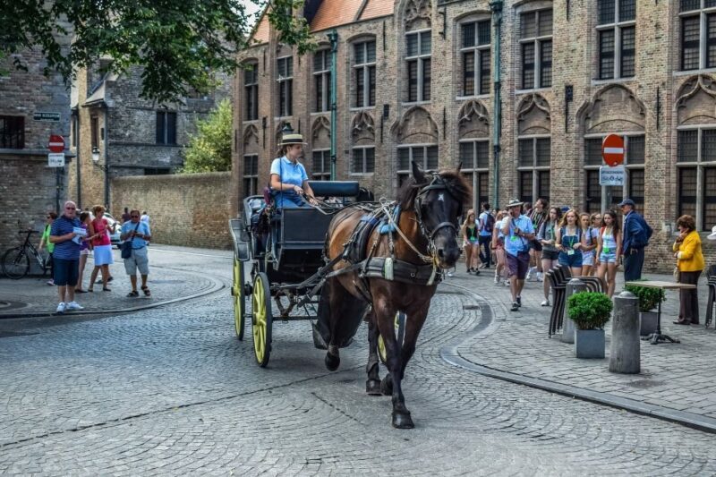 From Amsterdam: Private Sightseeing Tour to Bruges - What Makes This Tour Stand Out?