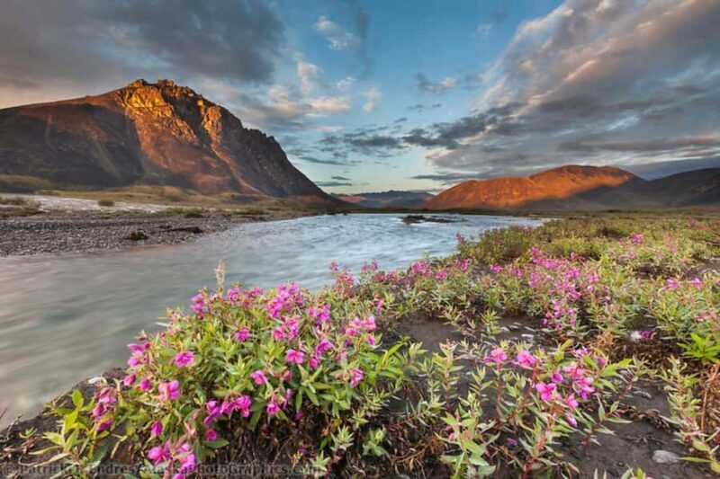 From Anchorage: 6-Day Best of Grand Alaska Highlights Tour - Who Would Love This Tour?