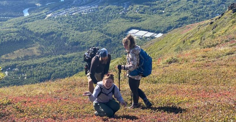 From Anchorage: Chugach State Park Guided Alpine Trek - An In-Depth Look at the Tour Experience