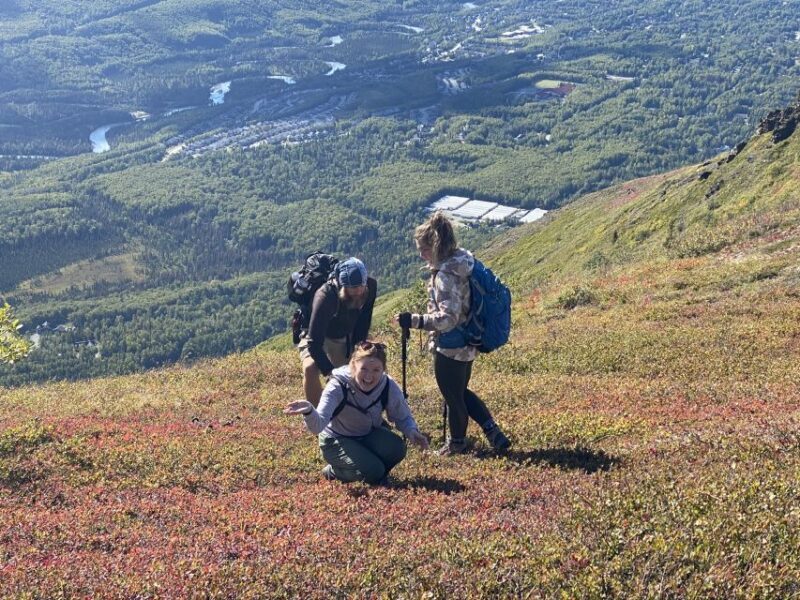 From Anchorage: Chugach State Park Guided Alpine Trek - Who Will Love This Tour?