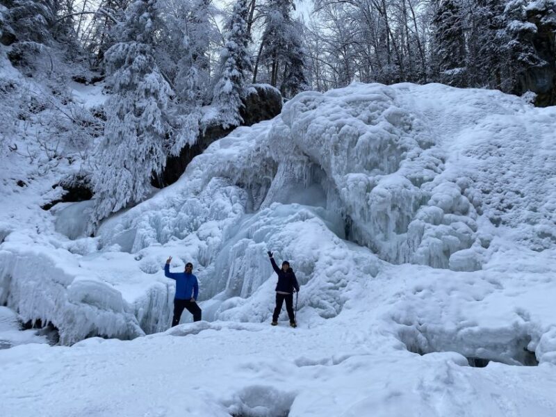 From Anchorage: Chugach State Park Winter Walking Tour - The Sum Up