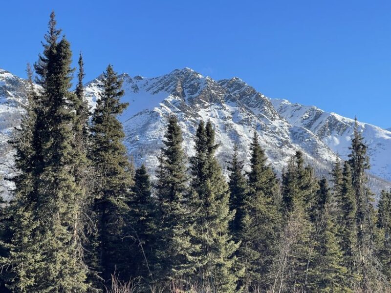 From Anchorage: Chugach State Park Winter Walking Tour - FAQ