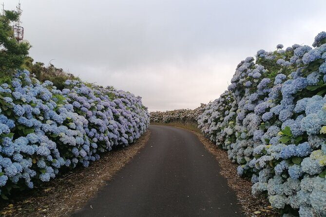 From Angra: Terceira Island Full-Day Jeep Tour - The Sum Up