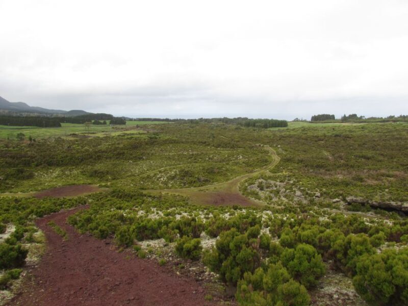 From Angra: Terceira Island Full-Day Jeep Tour (Shared Tour) - Who Should Consider This Tour?