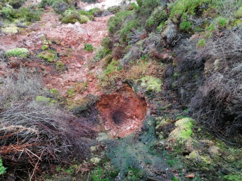From Angra: Terceira Island Half-Day Geotour (Shared Tour) - Frequently Asked Questions