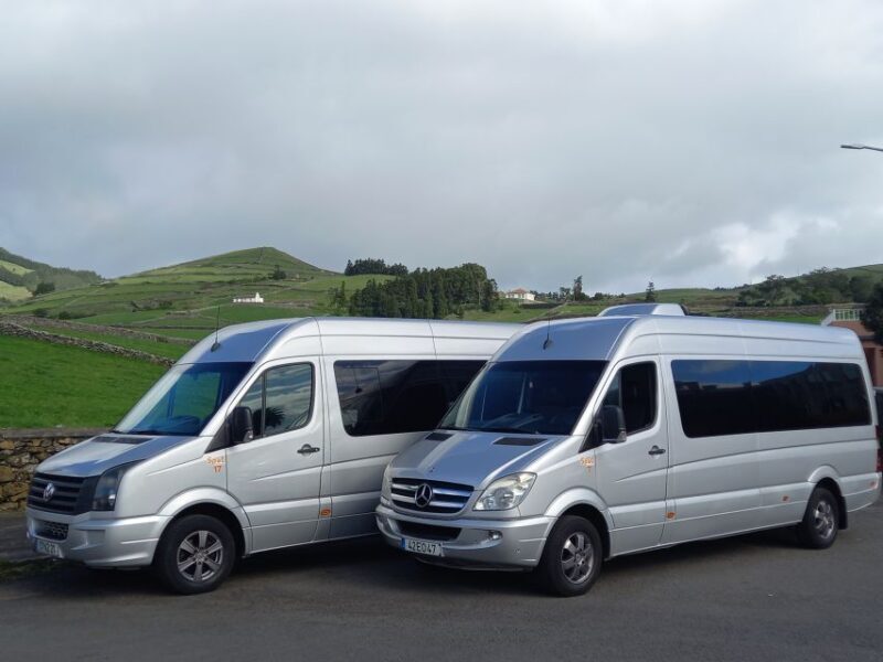 From Angra: Terceira Island Half-Day Tour (Shared Tour) - A Deep Dive into the Terceira Island Half-Day Tour