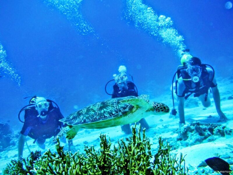 From Antalya| Kemer: Diving Tour with Experienced Instructor - Authentic Insights and Practical Tips