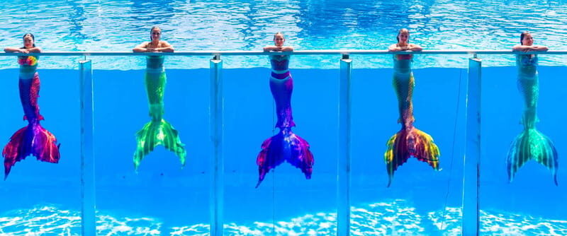 From Antalya/Kemer: Dolusu Park (Medium Package) - An In-Depth Look at Dolusu Park: A Splash of Turkish Fairy Tales