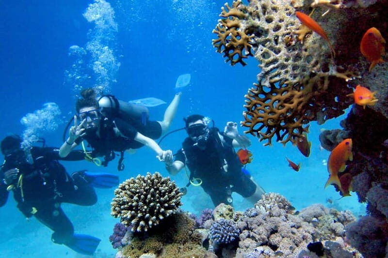 From Antalya: Scuba Diving With Lunch and Transfer - From Antalya: Scuba Diving With Lunch and Transfer — A Detailed Review