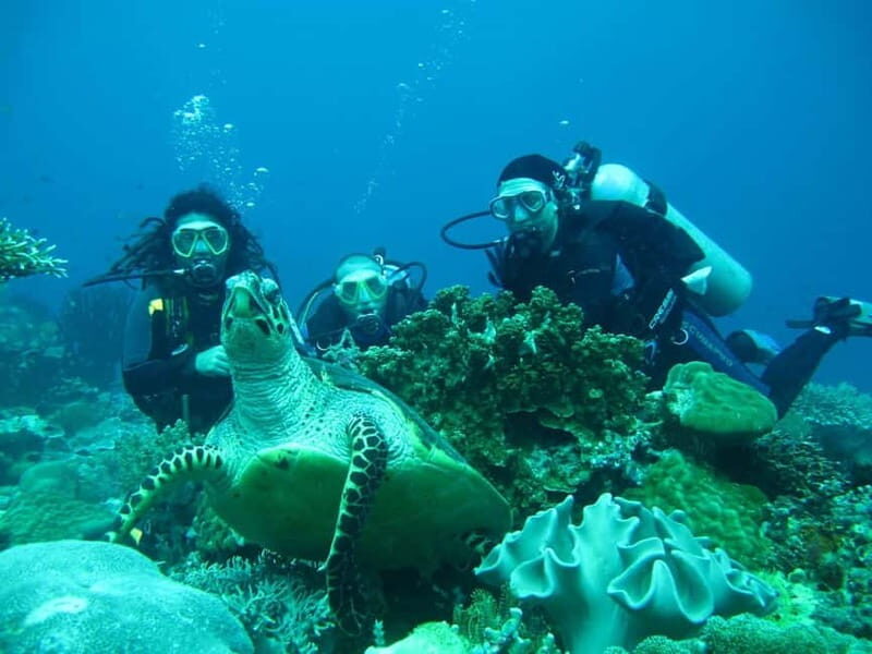 From Antalya: Scuba Diving With Lunch and Transfer - Why This Tour Offers Value