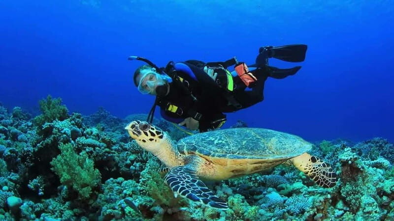 From Antalya: Scuba Diving With Lunch and Transfer - Who Should Consider This Tour?