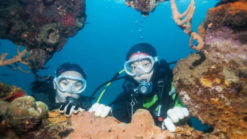 From Antalya: Scuba Diving With Lunch and Transfer - Final Thoughts
