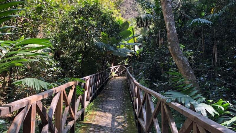 From Antigua Guatemala: Birdwatching and Scenic Hiking Tour - Who Will Appreciate This Tour?