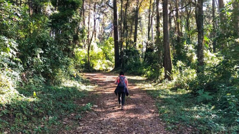 From Antigua Guatemala: Birdwatching and Scenic Hiking Tour - FAQ