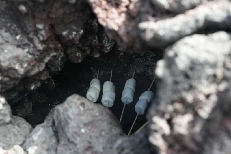 From Antigua to Pacaya Private Tour - FAQs