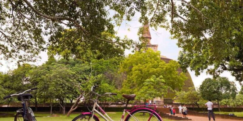 From Anuradhapura: Ancient City of Anuradhapura by Bike - Key Points