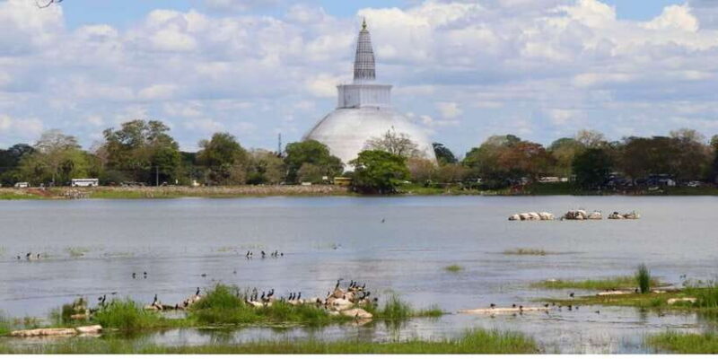From Anuradhapura: Ancient City of Anuradhapura by Bike - The Experience in Detail: Anuradhapura by Bike
