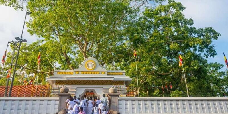 From Anuradhapura: Ancient City of Anuradhapura by Bike - Final Thoughts