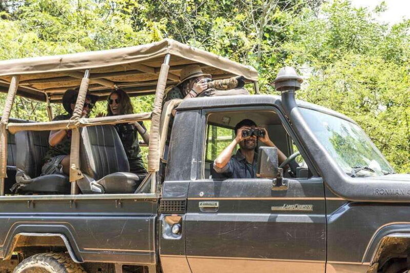 From Anuradhapura: Full Day Wilpattu's Wild Wonders -Private - The Sum Up: Is This Safari Right for You?