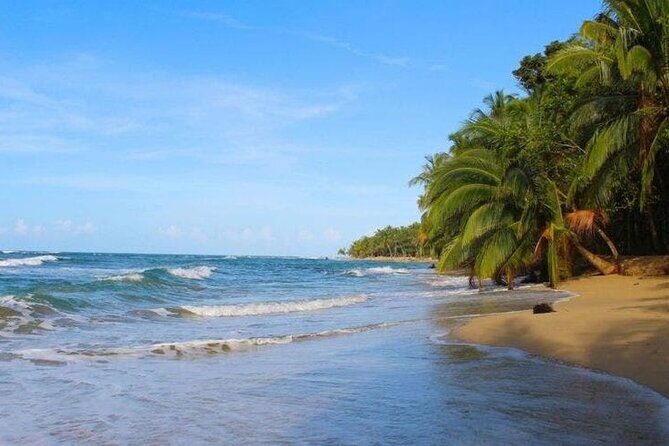 From Arenal- La Fortuna To Papagayo Shuttle Service - Key Points