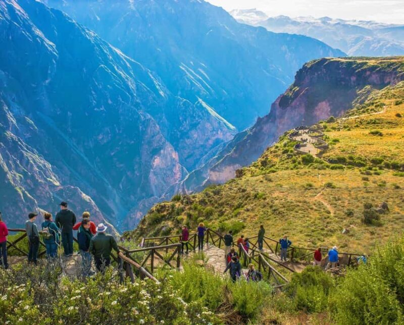 From Arequipa: 1 Day Tour to the Colca Canyon + Breakfast - An In-Depth Look at the Colca Canyon Day Tour from Arequipa