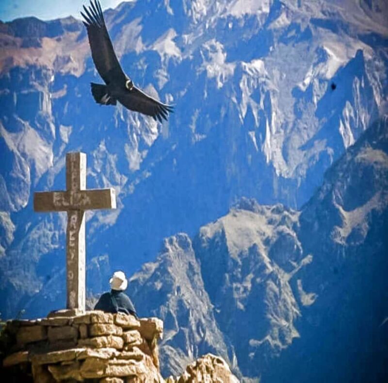 From Arequipa: 2-Day Colca Canyon Tour with Transfer to Puno - From Arequipa: 2-Day Colca Canyon Tour with Transfer to Puno