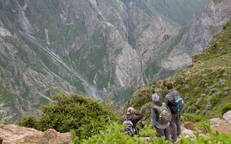 From Arequipa: 2-Day Colca Canyon Trekking Tour - Authentic Experiences Highlighted by Travelers
