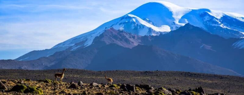 From Arequipa: Colca Canyon Excursion 2D with End in Puno - Key Points