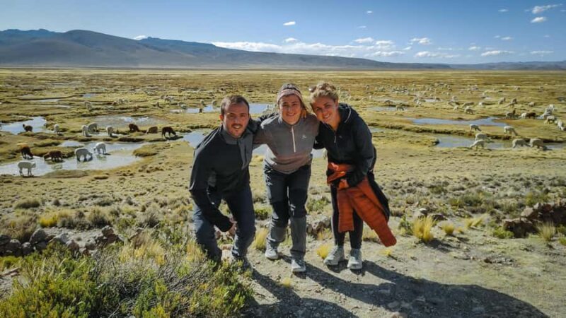 From Arequipa: Colca Canyon Full-Day Guided Tour with Meals - Discovering the Colca Canyon: An Authentic Day Trip from Arequipa