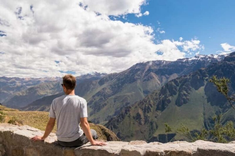 From Arequipa: Day Trip to the Colca Canyon - Who Will Love This Tour?