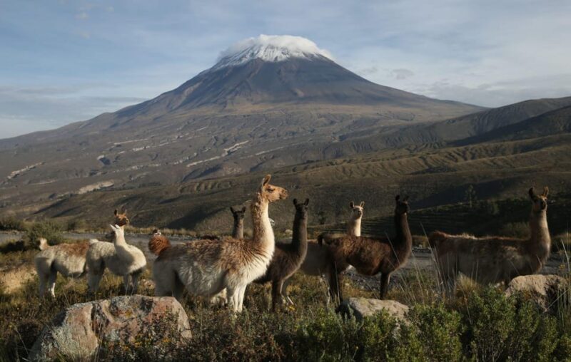 From Arequipa: Excursion to Chivay and Colca Canyon - Frequently Asked Questions