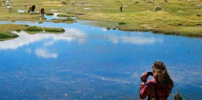 From Arequipa - Excursion to Pillones Waterfalls | Full Day - From Arequipa - Excursion to Pillones Waterfalls | Full Day