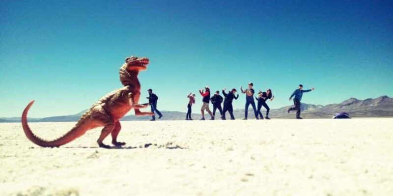 From Arequipa: Excursion to Salinas Lagoon - Early Morning Pickup and Journey to the Andes