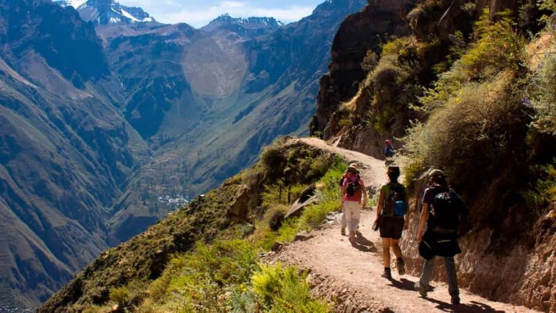From Arequipa: Full Day Colca Canyon Tour - A Full-Day Journey into Peru’s Natural Wonders and Local Charm