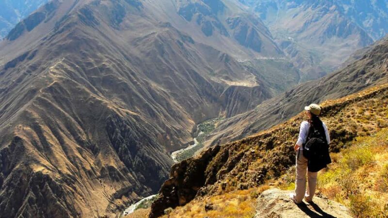 From Arequipa: Full Day Colca Canyon Tour - What Real Travelers Say