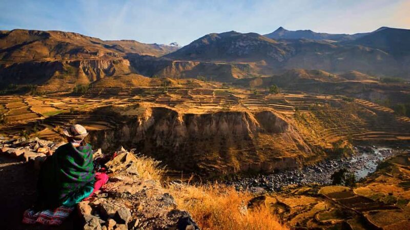 From Arequipa: Full Day Colca Canyon Tour - Who Should Consider This Tour?
