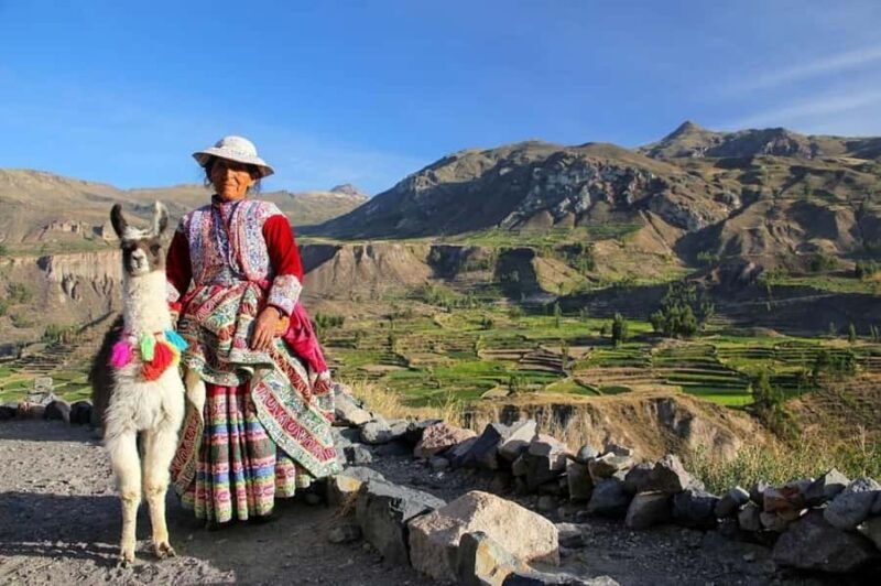 From Arequipa: Full-Day to Colca Canyon - Key Points