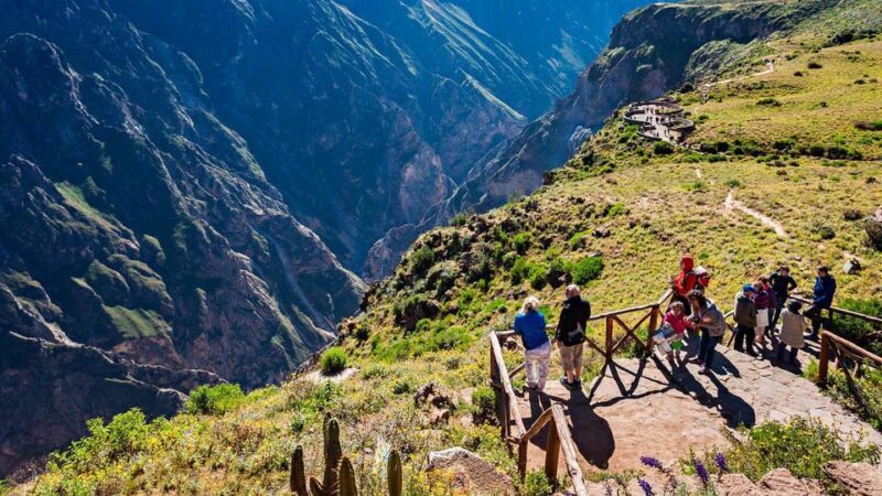 From Arequipa: Full Day Tour of Colca Canyon with Breakfast - Experience the Splendor of Colca Canyon: A Full-Day Tour from Arequipa