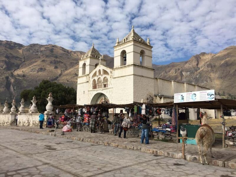 From Arequipa: Tour to Colca Canyon + Transfer to Cusco - Key Points