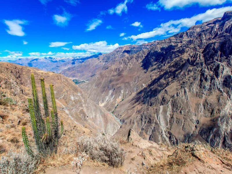 From Arequipa: Tour to the Colca Canyon+Transfer to Cusco - Key Points