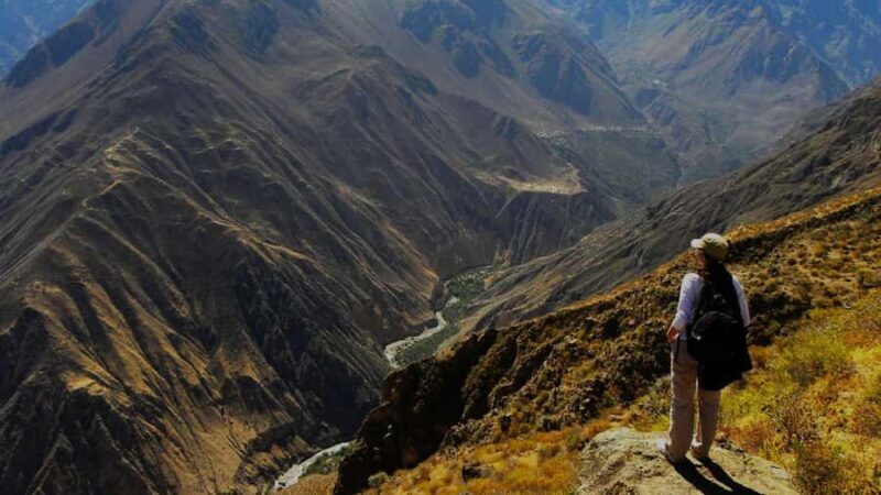 From Arequipa, visit the Colca Canyon and end in Puno. - From Arequipa, visit the Colca Canyon and end in Puno