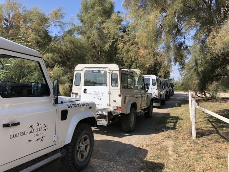 From Arles: Half-Day 4x4 Camargue Safari - Why This Tour Is Worth Considering