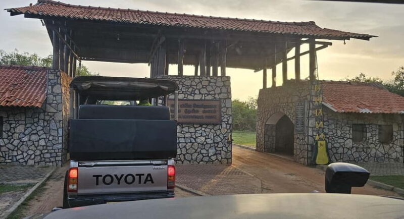 From Around Tangalle: Half-Day Yala Safari Private Tour(M/E) - An In-Depth Look at the Yala Safari Experience