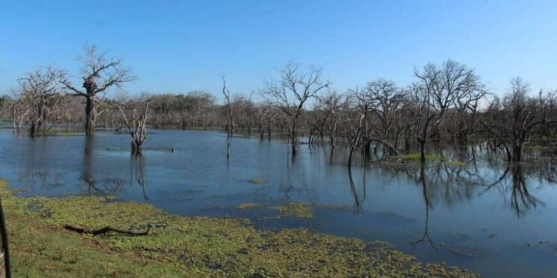 From Arugambay : Yala National Park Safari & Dropoff in Ella - FAQ