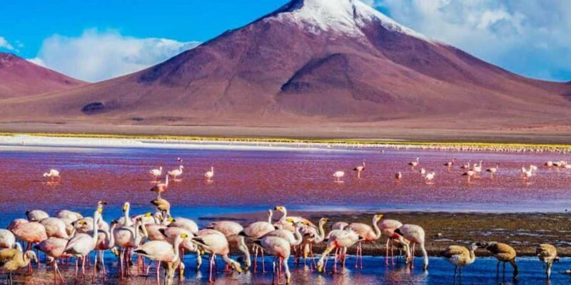 From Atacama: Uyuni Salt Flat 4-days the largest salt flat - Why This Tour is a Good Deal