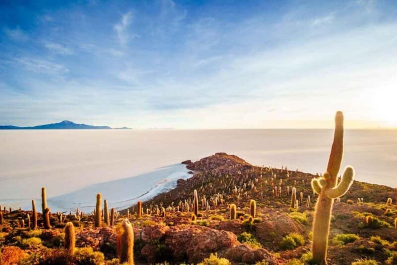 From Atacama | Uyuni salt flat 4 days the largest salt flat - Authenticity and Practical Tips