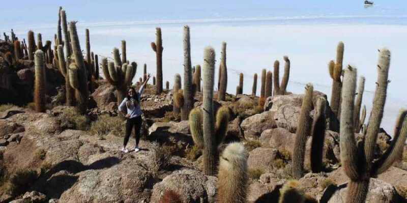 From Atacama | Uyuni salt flat 4 days the largest salt flat - The Sum Up