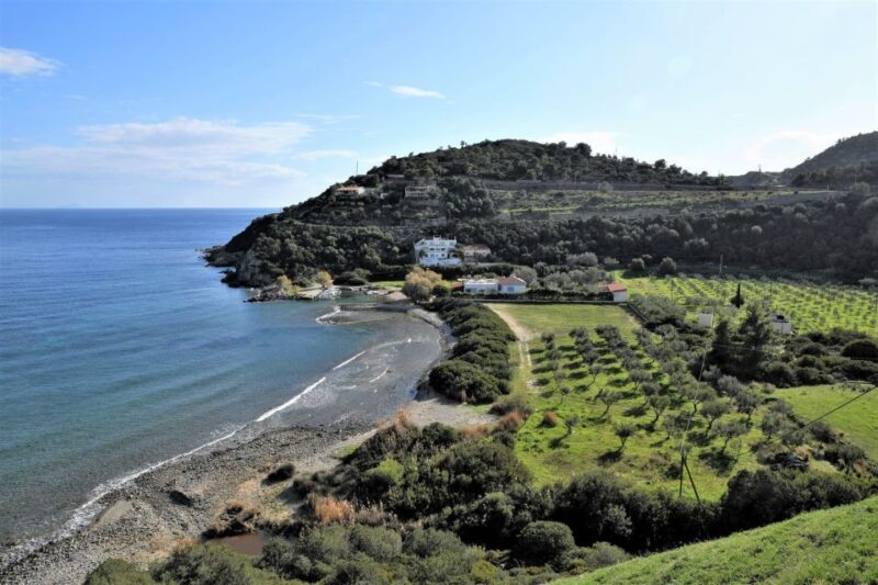 From Athens: Aegina Island E-Bike Tour with Ferry Tickets - Authentic Experiences and Practical Insights