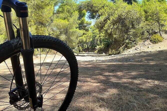 From Athens: Aegina Island E-bike & walking day tour - Who Should Consider This Tour?